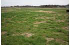Tract 3 - REAL ESTATE AUCTION, 60 +/- Acres offered in 3 Tracts Swine Operation